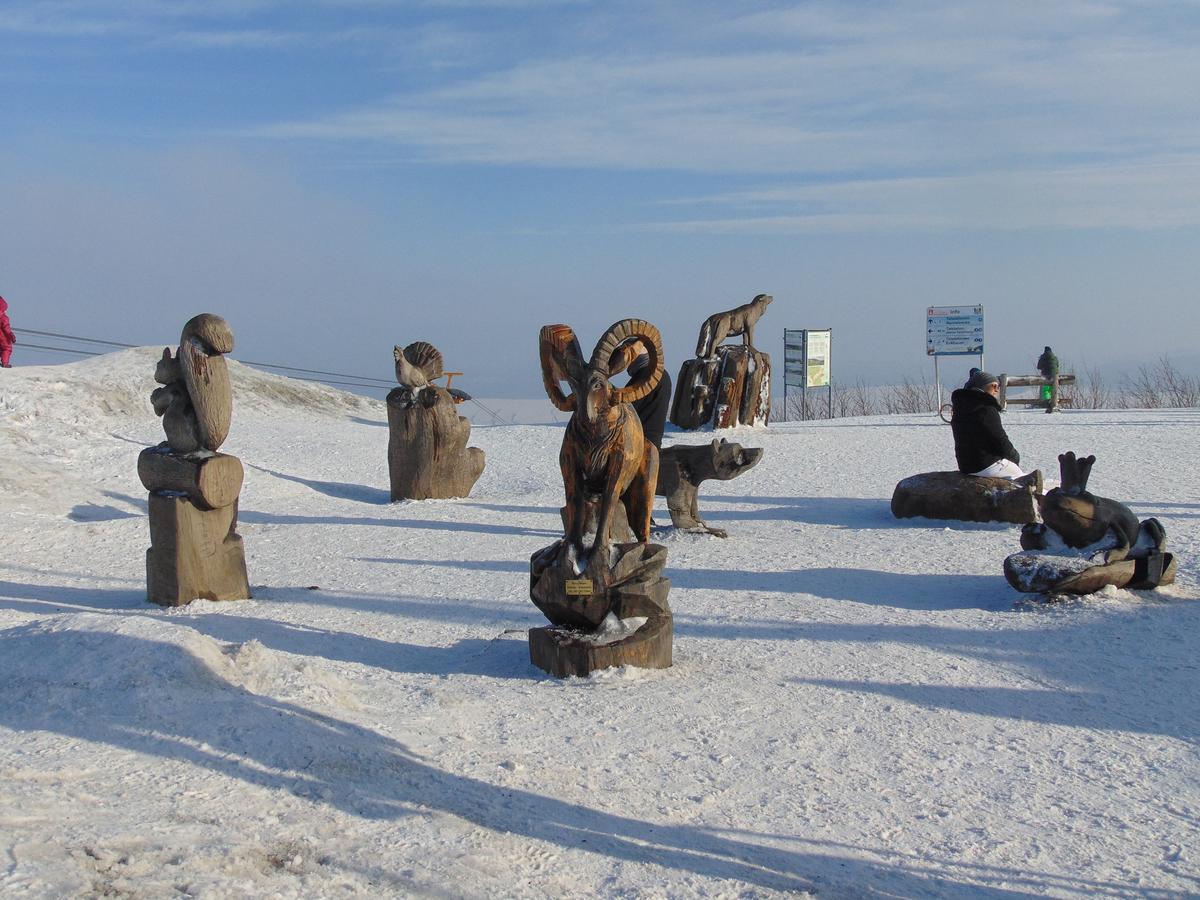 Ferienvermietung Engelstaedter Oberwiesenthal Luaran gambar